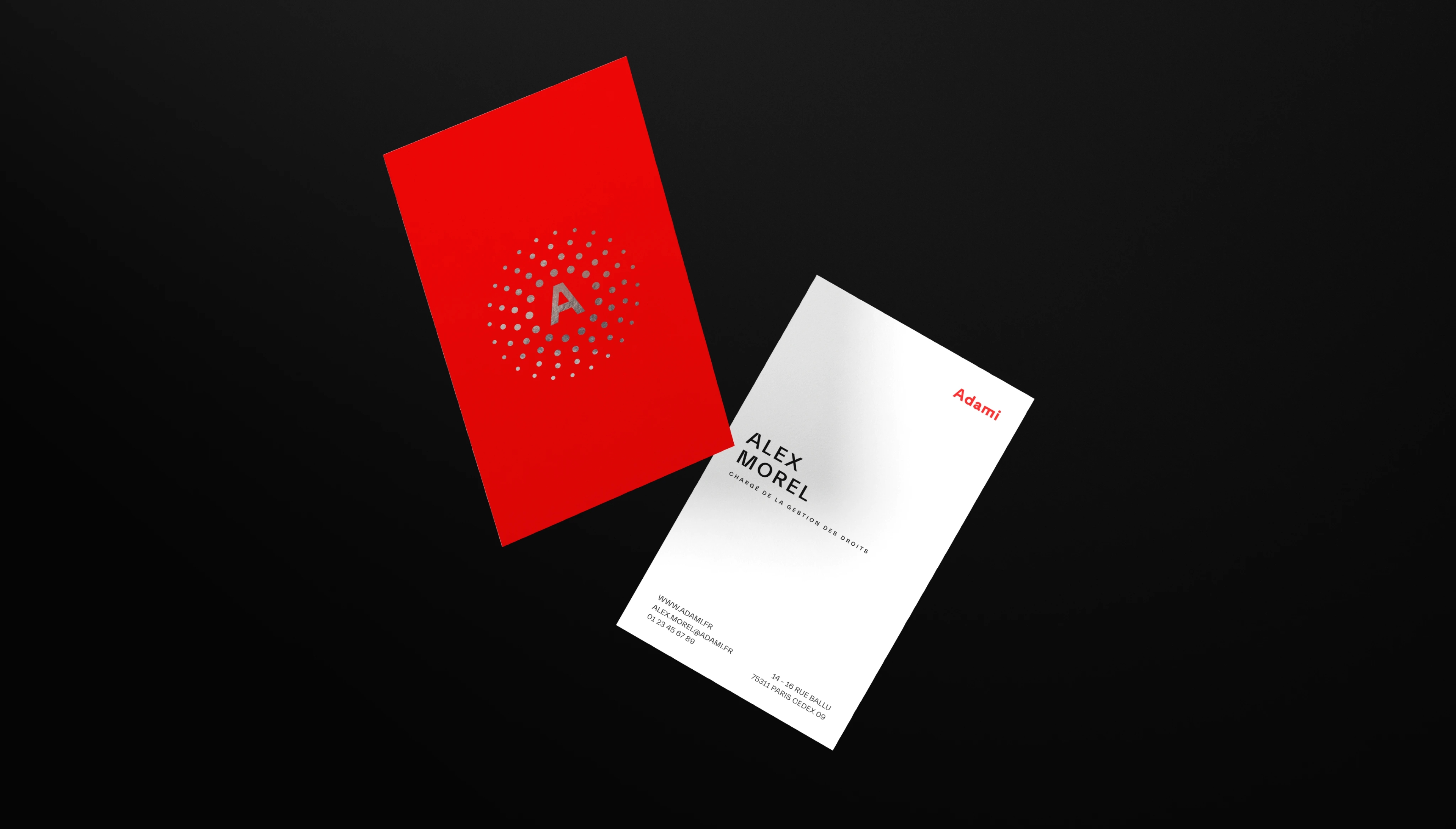 adami image 2